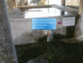 /album/galeria-de-fotos%3a-area-de-integra%c3%a7%c3%a3o/diapositivo23-gif2/